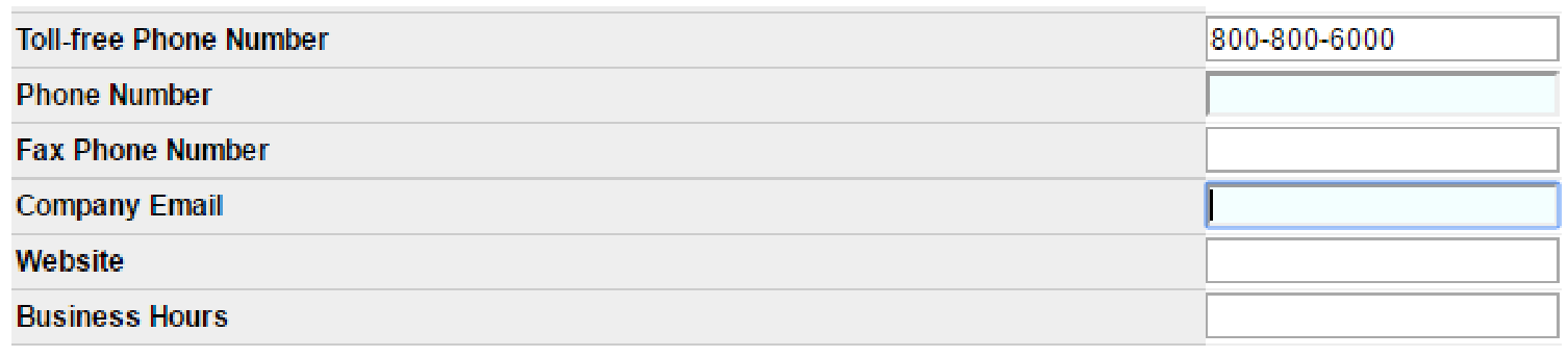 Phone, fax, email, website, and business hours fields on the Customer Information form.