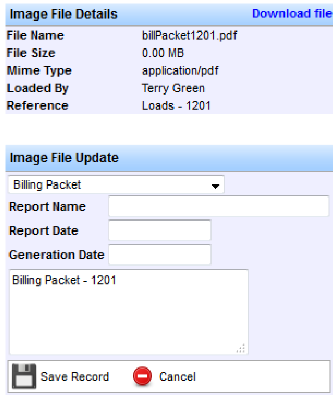 Imaging File Information window for a report document.